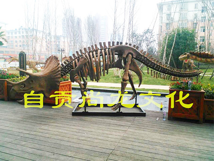 4米三角龙化石骨架