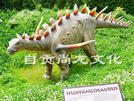 华阳龙